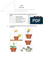 Segundo - Actividad - Semana 3 - Noviembre