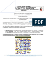 Yedsenit - Olmos - 3 ACTIVIDAD FISICA TALLER 3 PRACTICO 2020 YOR PDF