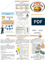 Folleto Reinduccion