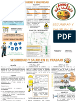 Folleto Induccion1 PDF