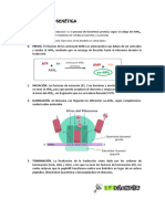 B076 Traduccion PDF