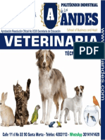 volante veterinaria 6