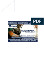 volante veterinaria 2.pdf