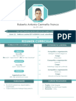 Curriculum Roberto