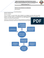 Experiencia de Aprendizaje - CC - Ss. 2020