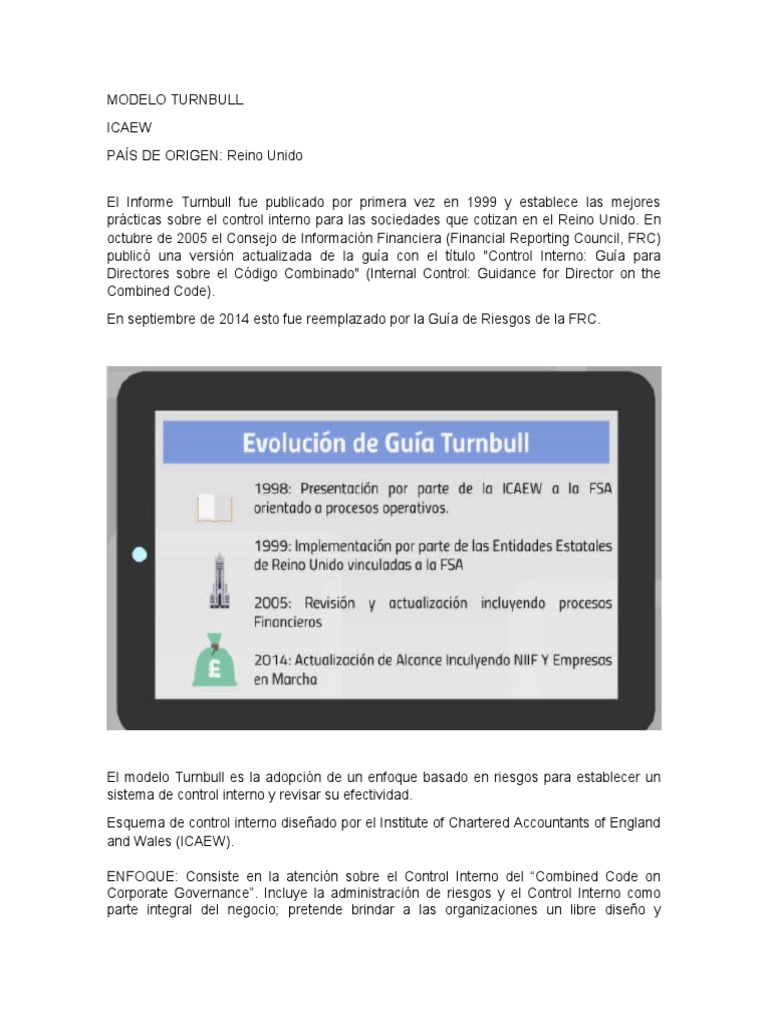 Modelo Guía Turnbull | PDF | Auditoría | Evaluación