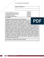 PEI-Formato de Documento 1a - 2a entrega  PROCESO ESTRATEGICO