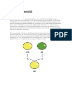 Leyes De Mendel.docx