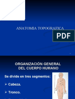 Anatomia Topografica