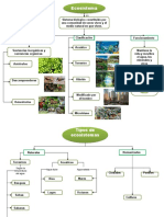 Mapa Conceptual de Ecosistema