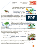 ¿Cuándo Decimos Que Las Plantas Se Nutren?: Lic: Leyner Trigoso Chávez