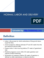 4 Normal Labor and Delivery PDF