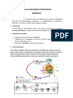 Amebas Primra Parte