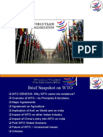 WTO_PRESENTATION