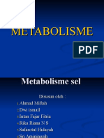 Metabolisme