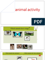 Small Animal Activity