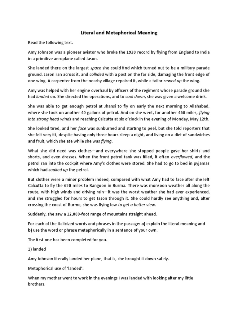 Literal and Metaphorical Meaning PDF