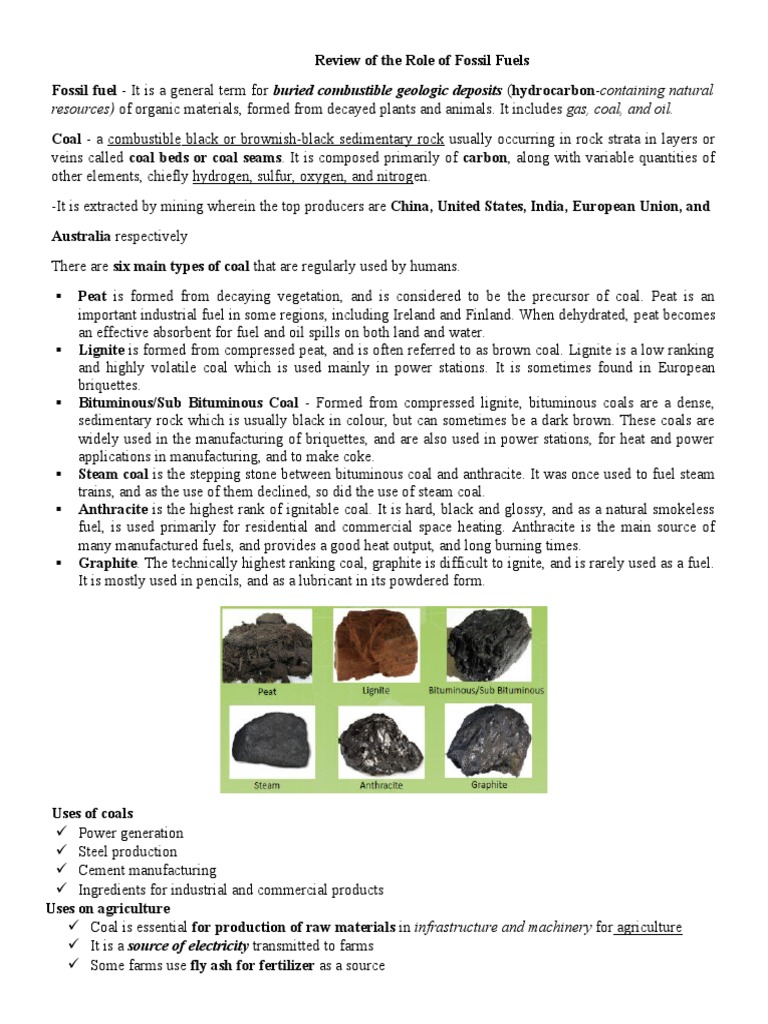 Overview of Fossil Fuels and Their Uses | PDF | Coal | Fuel Oil