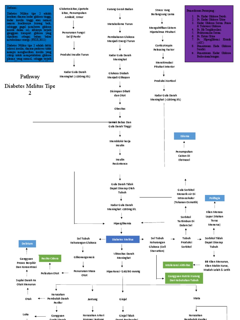 Pathway Diabetes Melitus Tipe 2 | PDF
