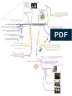 Analyse de Pratique Professionnelle PDF