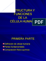 Célula humana I y II.ppt
