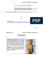 acupuntura-cosmetica joseppe bonnano.pdf