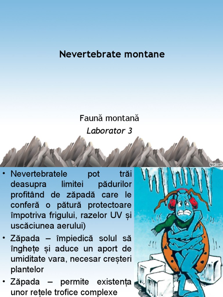 Lab 3 - Fauna de Nevertebrate | PDF