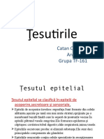 Tesuturile.pptx