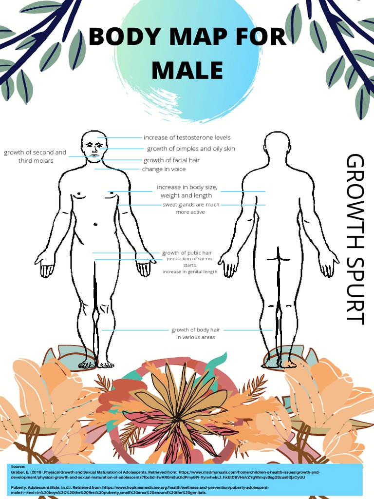 Puberty Changes for Teens | PDF | Puberty | Sex