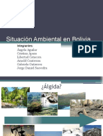 Situacion Ambiental de Bolivia