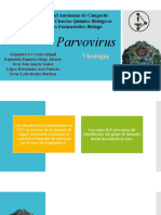 Virologia -Parvovirus-28pgs.pptx