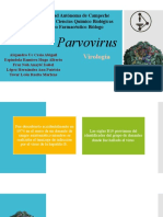 Virologia - Parvovirus-28pgs