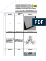 Formato Inpeccion y Levantamiento de Lesiones Final