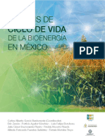 analisis-de-ciclo-de-vida-de-la-bioenergia-en-mexicoanalisis-de-ciclo-de-vida-de-la-bioenergia-en-mexico.pdf