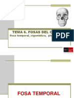 Tema 7 Fosas y cavidades II - Temporal, cigomática y pterigopalatina.pdf