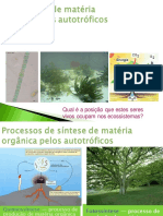 11-fotossintese.pdf