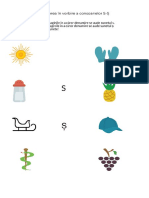 Diferentiere Ss PDF