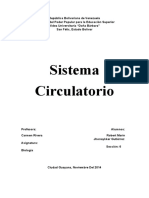 Sistema Circulatorio