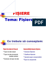 Fisiere de Tip Text