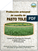 Produccion Artesanal de Semilla de Pastos 2012