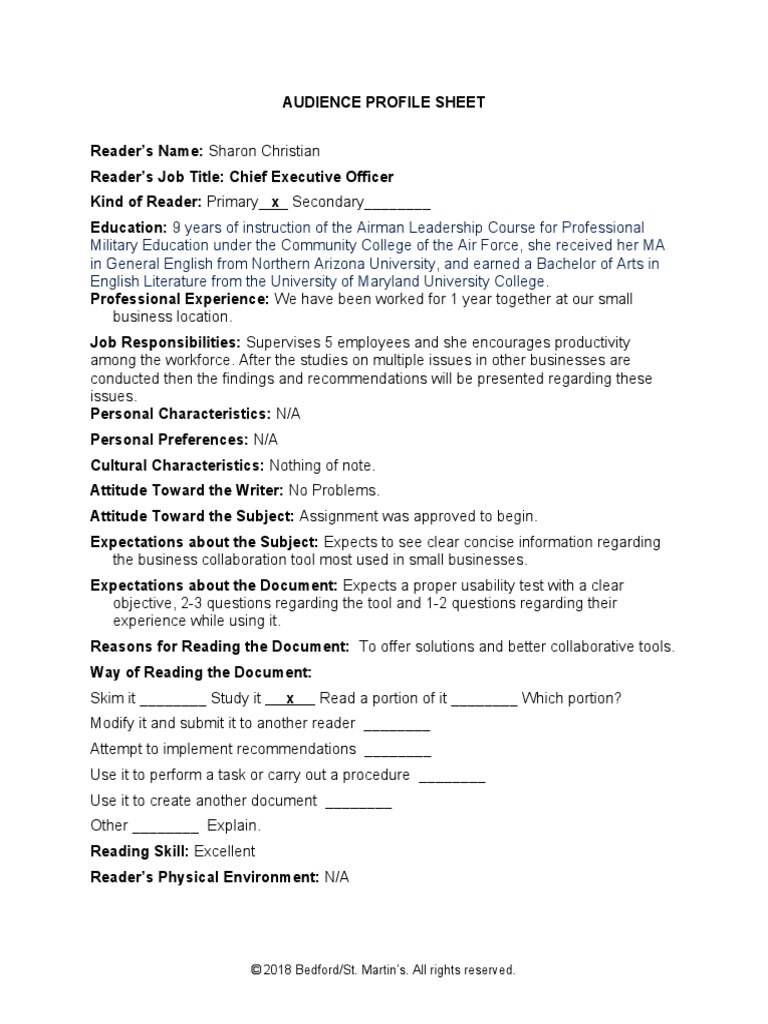 Audience Profile Sheet | PDF