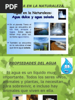 Propiedades del Agua: Insípida, Incolora e Inodora | PDF