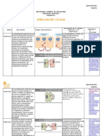 Taller 6 - Señalización Celular