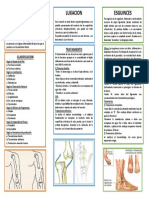 Fracturas - Luxaciones - Esguinces PDF