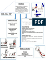 Organizador Visual - Hemorragias PDF