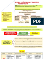 1-Patogenos, Alterantes y Fermentación