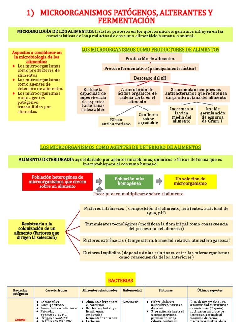 Microorganismos en Alimentos: Beneficios y Riesgos | PDF | Alimentos ...
