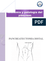 Tecnicas Quirurgicas Del Pancreas
