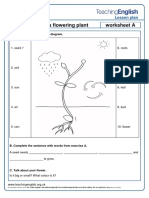 The Life Cycle of A Flowering Plant Worksheet A: Lesson Plan