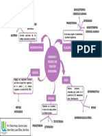 Mapa Mental - Función Endocrina Órganos